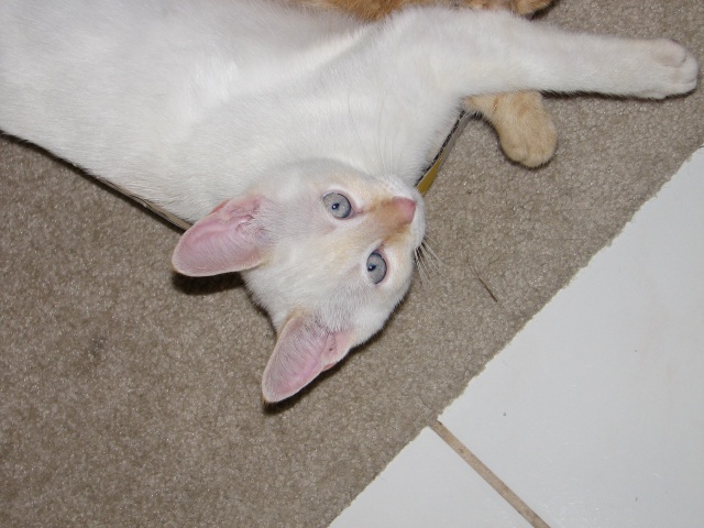 2009/10(October)/Misc/640x480_20100206 588.JPG